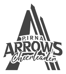 Arrows Pirna e.V.
